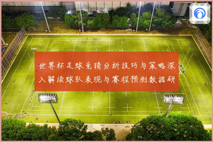 世界杯足球竞猜分析技巧与策略深入解读球队表现与赛程预测数据研判