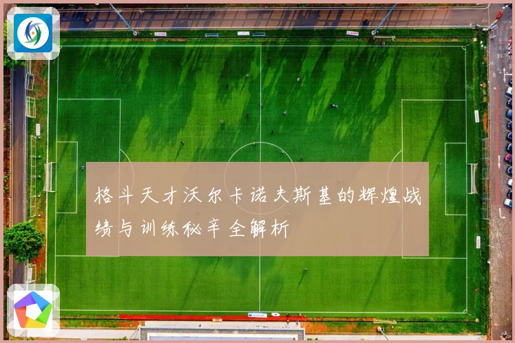 格斗天才沃尔卡诺夫斯基的辉煌战绩与训练秘辛全解析