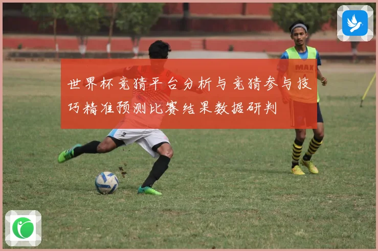 世界杯竞猜平台分析与竞猜参与技巧精准预测比赛结果数据研判