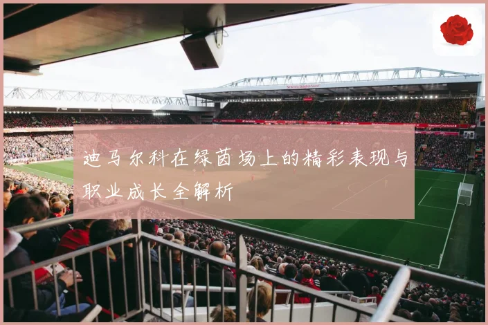 迪马尔科在绿茵场上的精彩表现与职业成长全解析