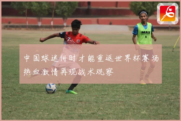 中国球迷何时才能重返世界杯赛场热血激情再现战术观察